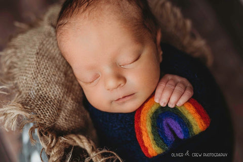 Needle felted rainbow baby newborn photography prop felt