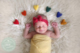 rainbow felted wool hearts newborn photography prop felt heart set