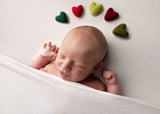 FULL SET rainbow felted wool hearts newborn photography prop felt heart set