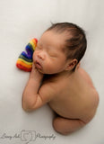 Needle felted rainbow baby newborn photography prop felt