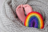 Needle felted rainbow baby newborn photography prop felt