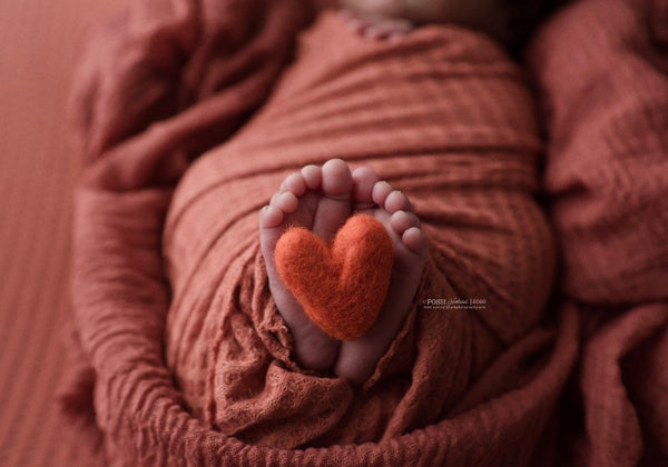 new color! single copper burnt orange felted wool hearts heart neutral newborn photography prop