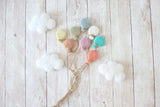 pastel rainbow felted balloon balloons newborn photography prop WITH clouds