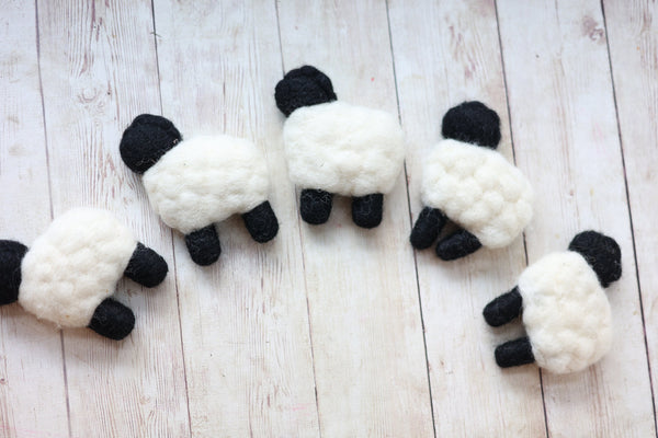 Set wool felt felted newborn photography prop sheep