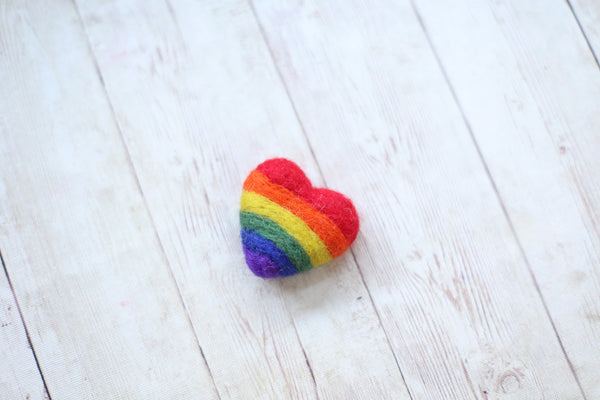 Needle felted heart rainbow baby newborn photography prop felt